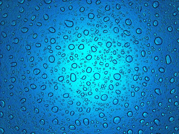 Aqua Images cocoon.