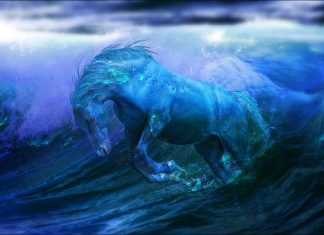 Aqua horse pictures.