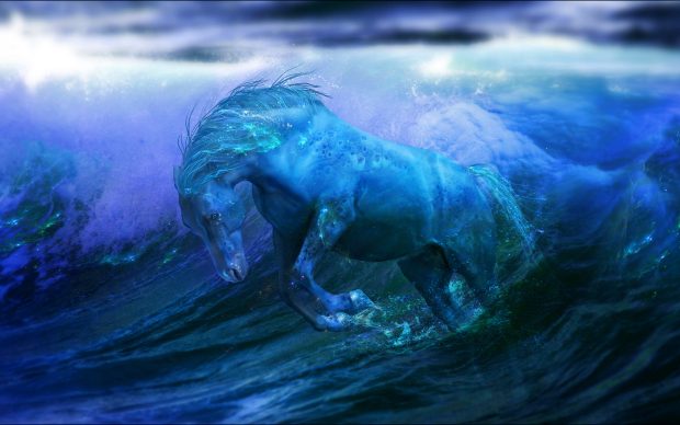Aqua horse pictures.