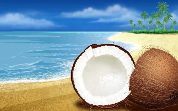 Awesome Nature wide screen wallpaper coconut sea.