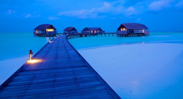 Beach At Night Picture.