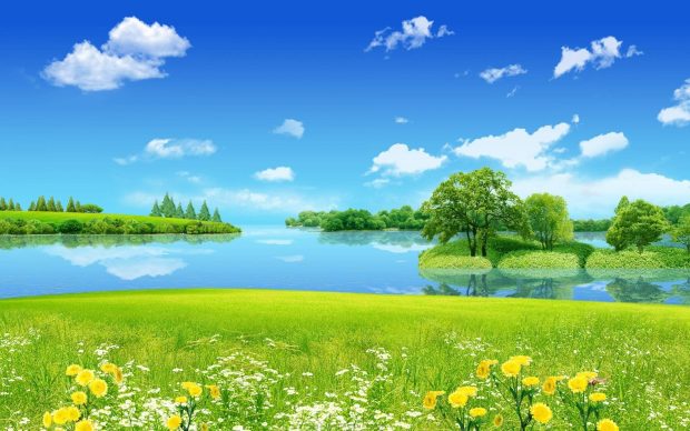 Beautiful Full HD Image HD.