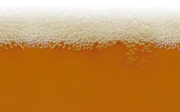 Beer Image Download Free.