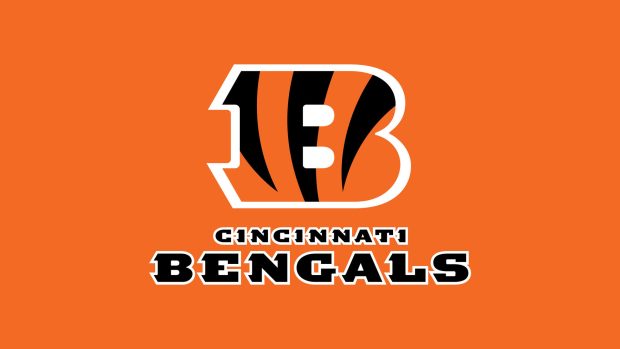 Bengals pictures hd download.