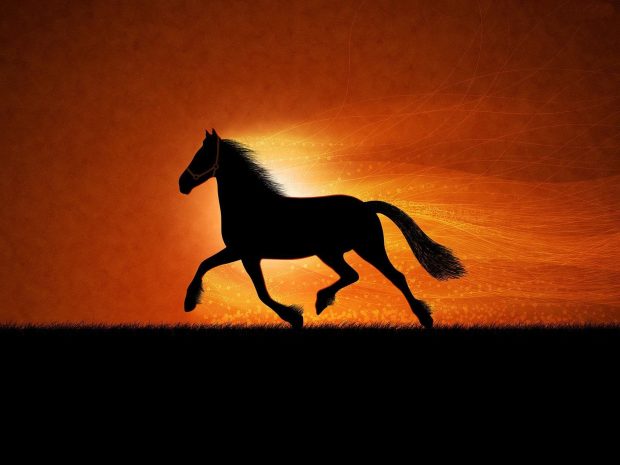 Black Horse Wallpaper Download Free.