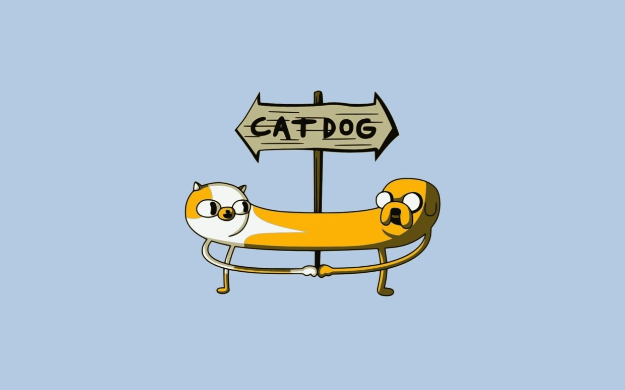 Cartoon Cat Wallpapers - PixelsTalk