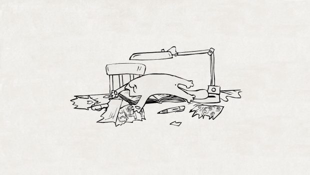 Cartoon Cat Images HD.