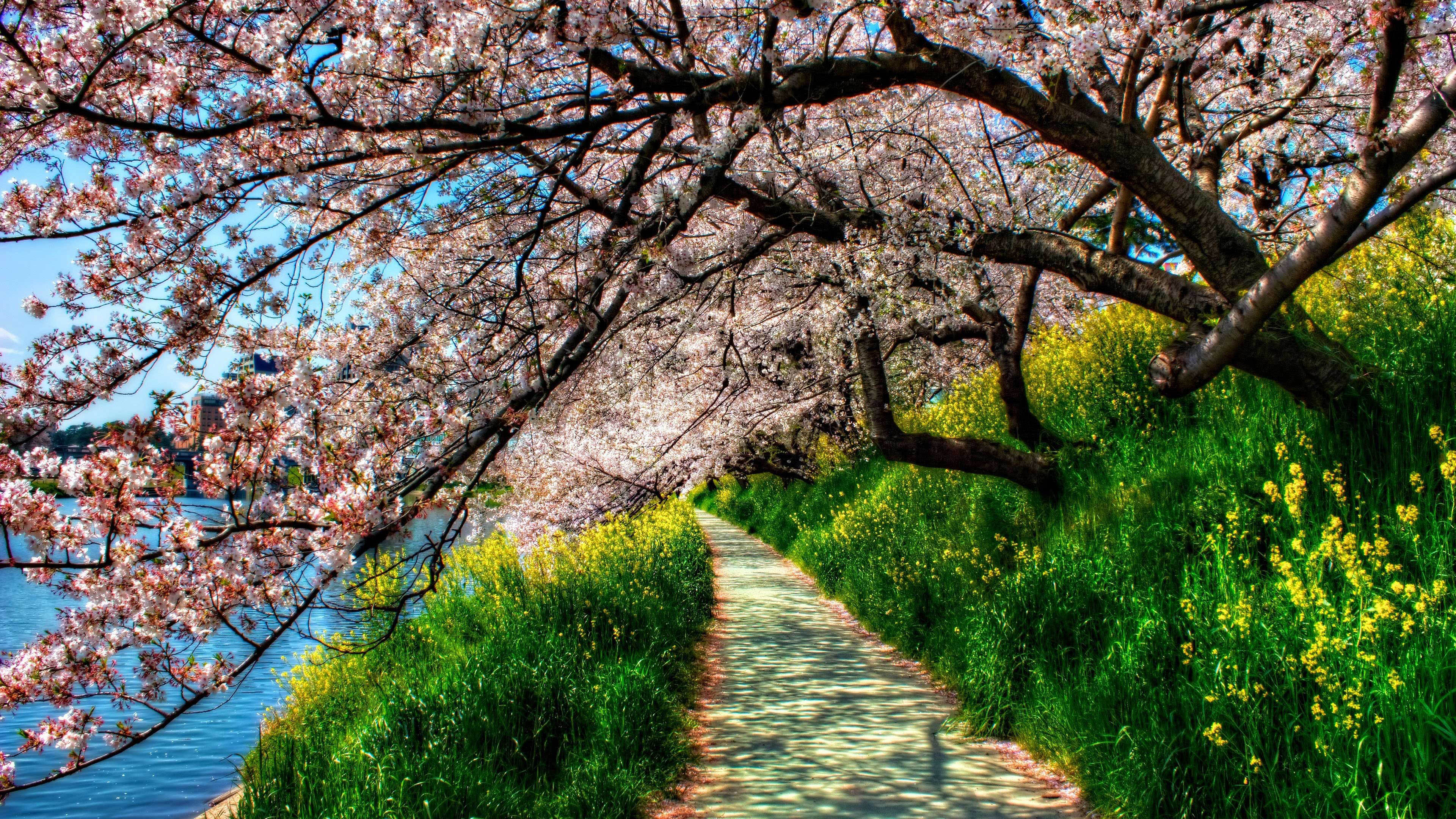 природа графика япония река горы цветы деревья nature graphics Japan river mountains flowers trees бесплатно