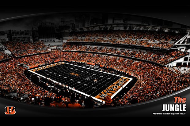 Cincinnati Bengals HD Backgrounds.