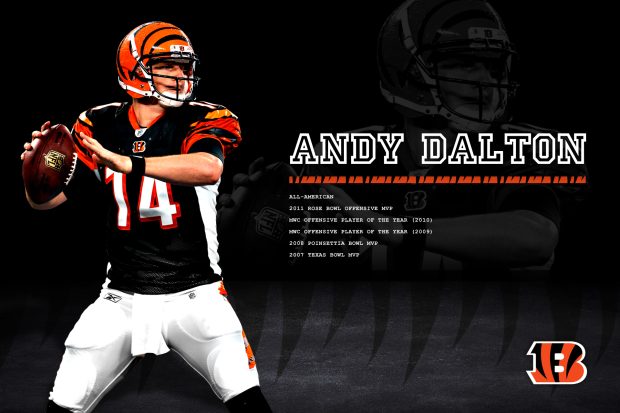 Cincinnati Bengals HD Photo.