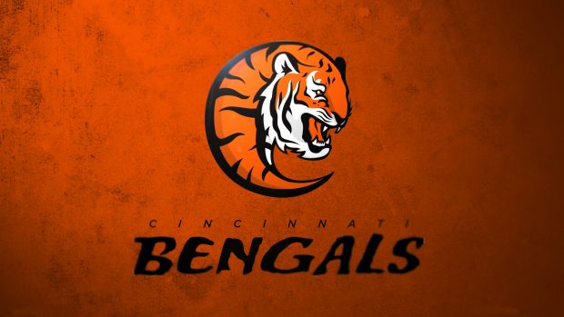 Cincinnati Bengals HD Photos.