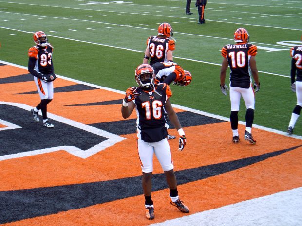 Cincinnati Bengals HD Picture.