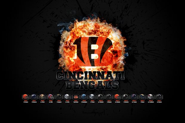 Cincinnati Bengals HD Wallpaper.