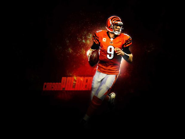 Cincinnati Bengals Images HD.