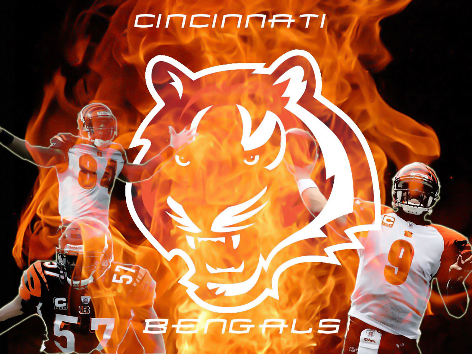 HD Cincinnati Bengals Wallpapers  PixelsTalkNet