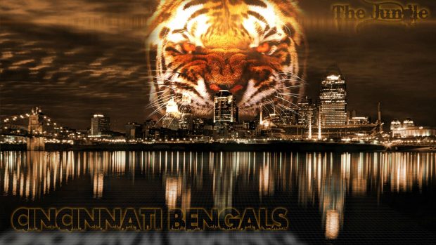 Cincinnati Bengals Picture.