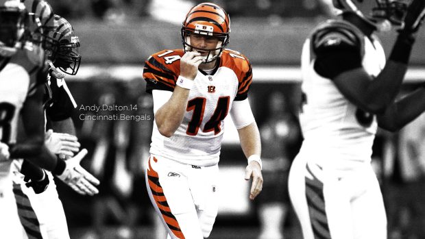 Cincinnati Bengals Picture Free Download.