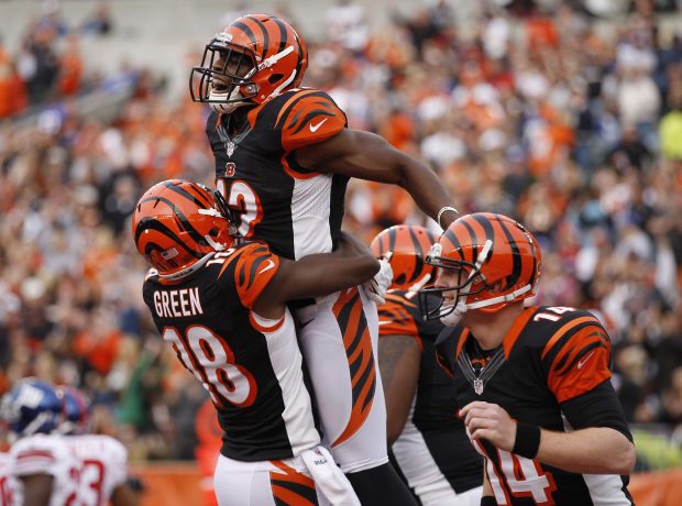 Cincinnati Bengals Pictures.