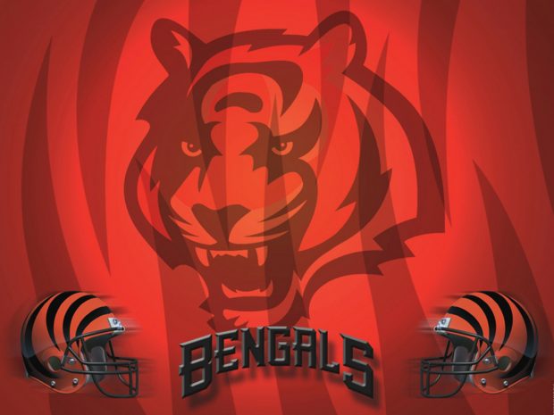 Cincinnati Bengals Pictures HD.