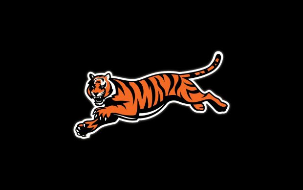 Cincinnati Bengals Wallpapers HD.