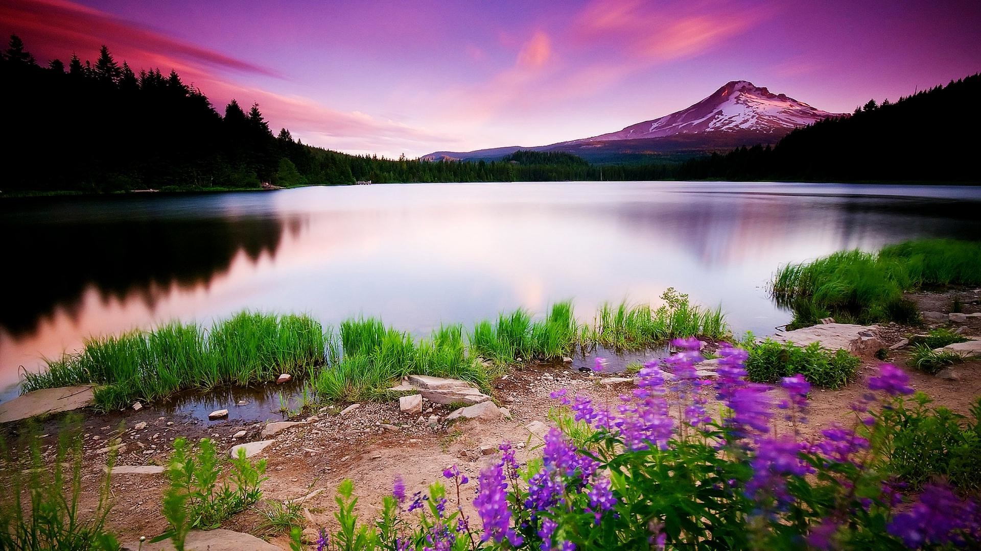 1080p HD Wallpaper Nature PixelsTalk Net 1080p HD Wallpaper Nature PixelsTalk Net