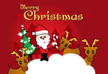 Cute Christmas Photos.