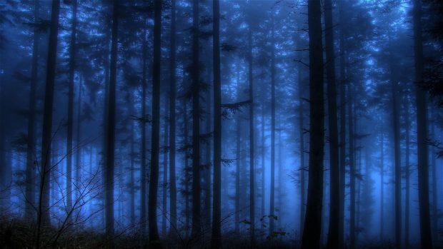 Dark Blue Forest Wallpaper.