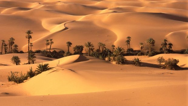 Desert Backgrounds.