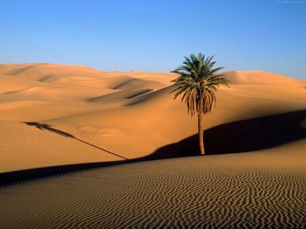 Desert Image.