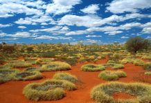 Desert Photo Download Free.