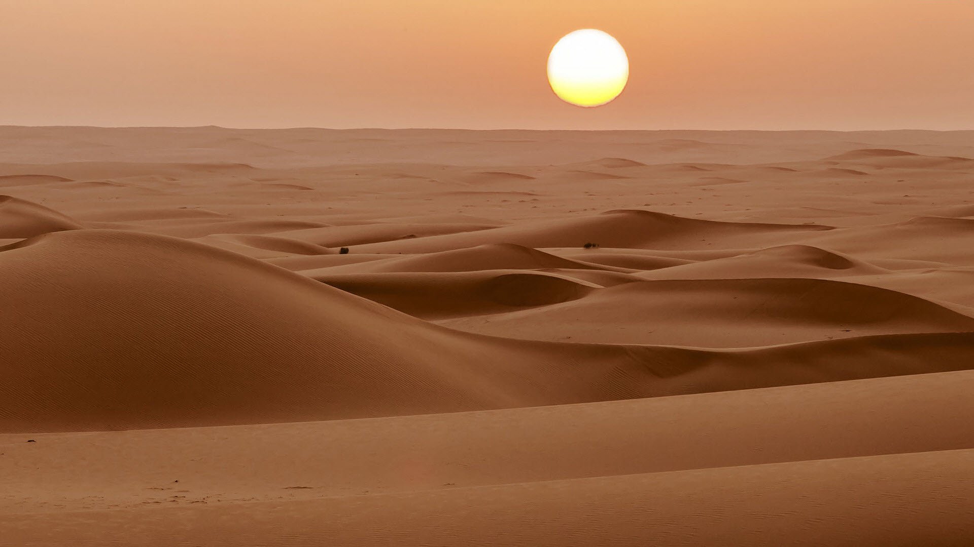 Free Download Desert Wallpapers | PixelsTalk.Net