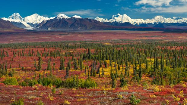 Download Alaska Image Free.