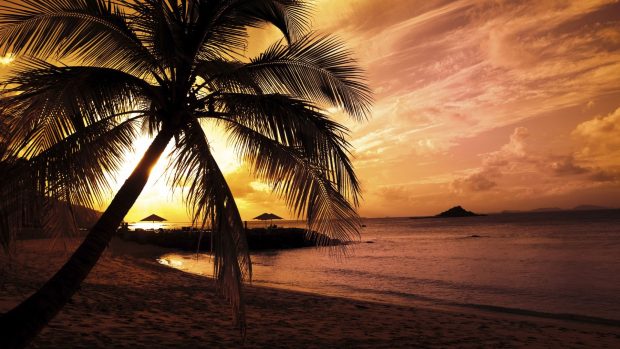 Download Beach At Night Wallpaper Free.