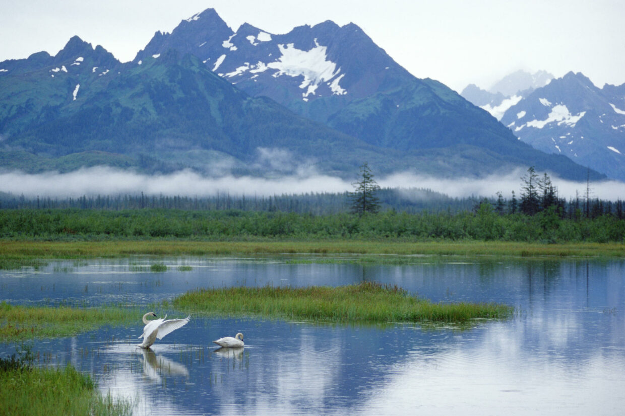 Alaska Desktop Backgrounds - PixelsTalk