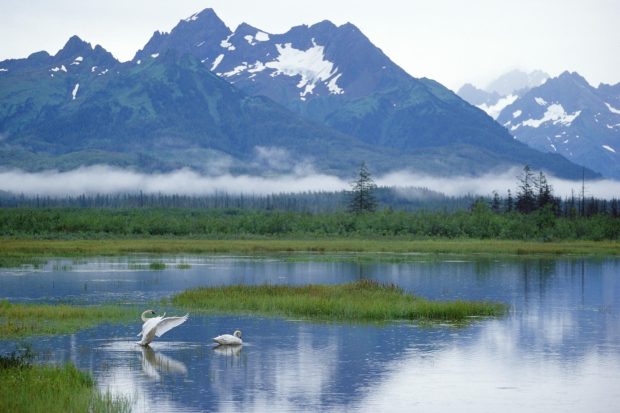 Download Free Alaska Photo.