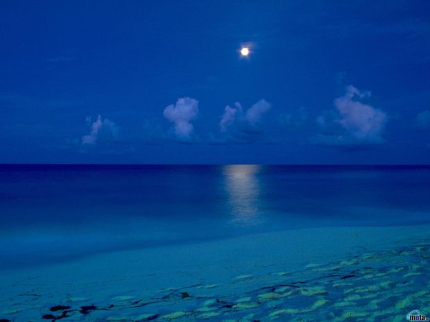 Download Free Beach At Night Background.