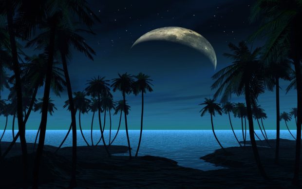 Download Free Beach At Night Photo.