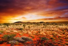 Download Free Desert Picture.