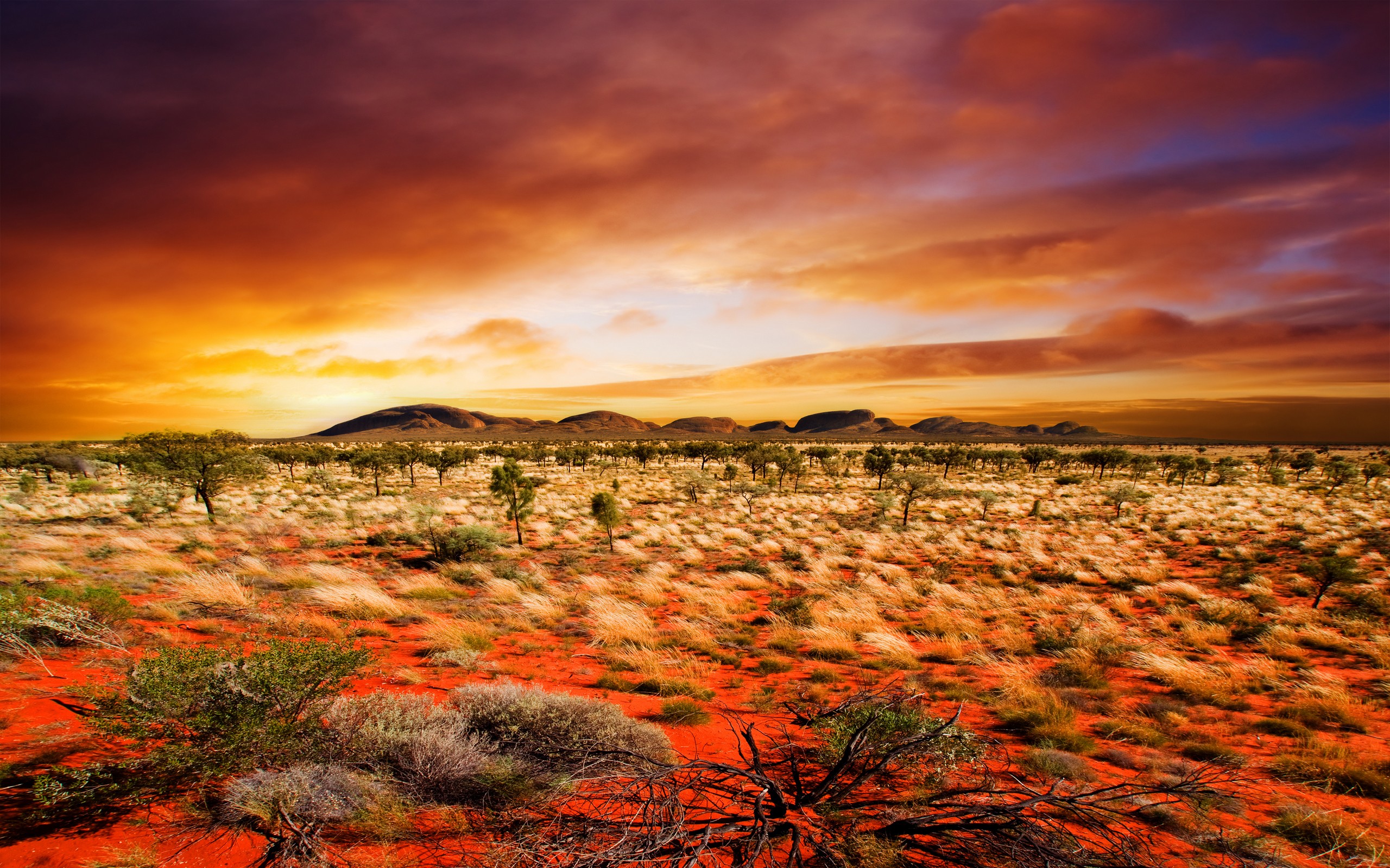 Sunset over the desert  Dark sky wallpaper