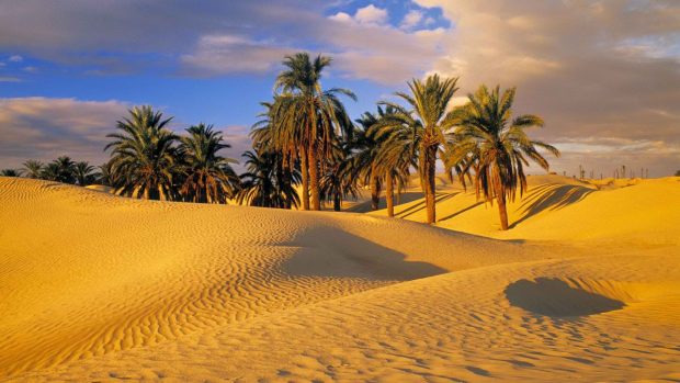 Download Free Desert Wallpaper.