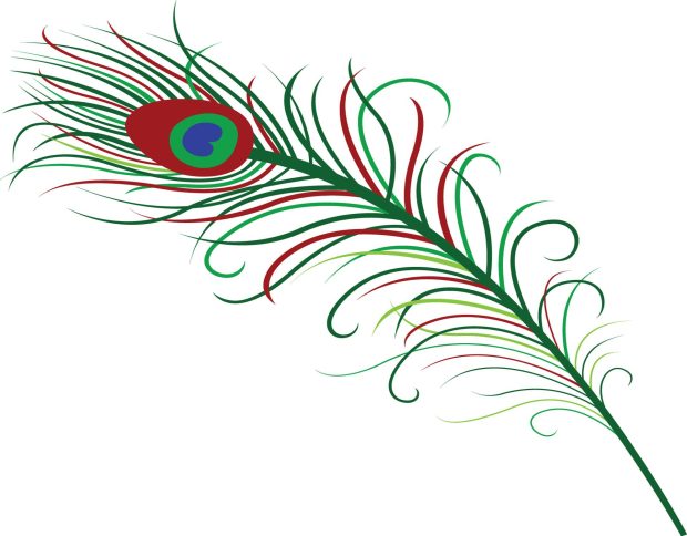 Download Free Peacock Feathers Photo.