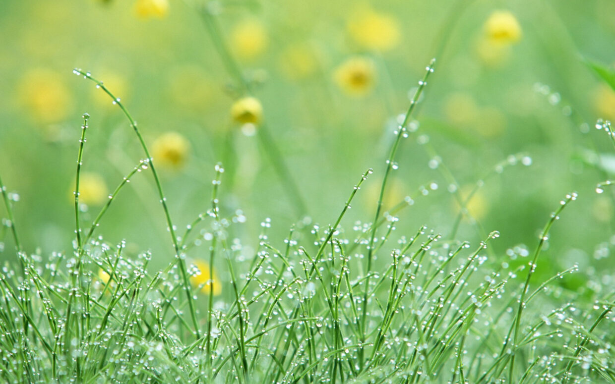 Pretty Wallpapers HD Tumblr - PixelsTalk