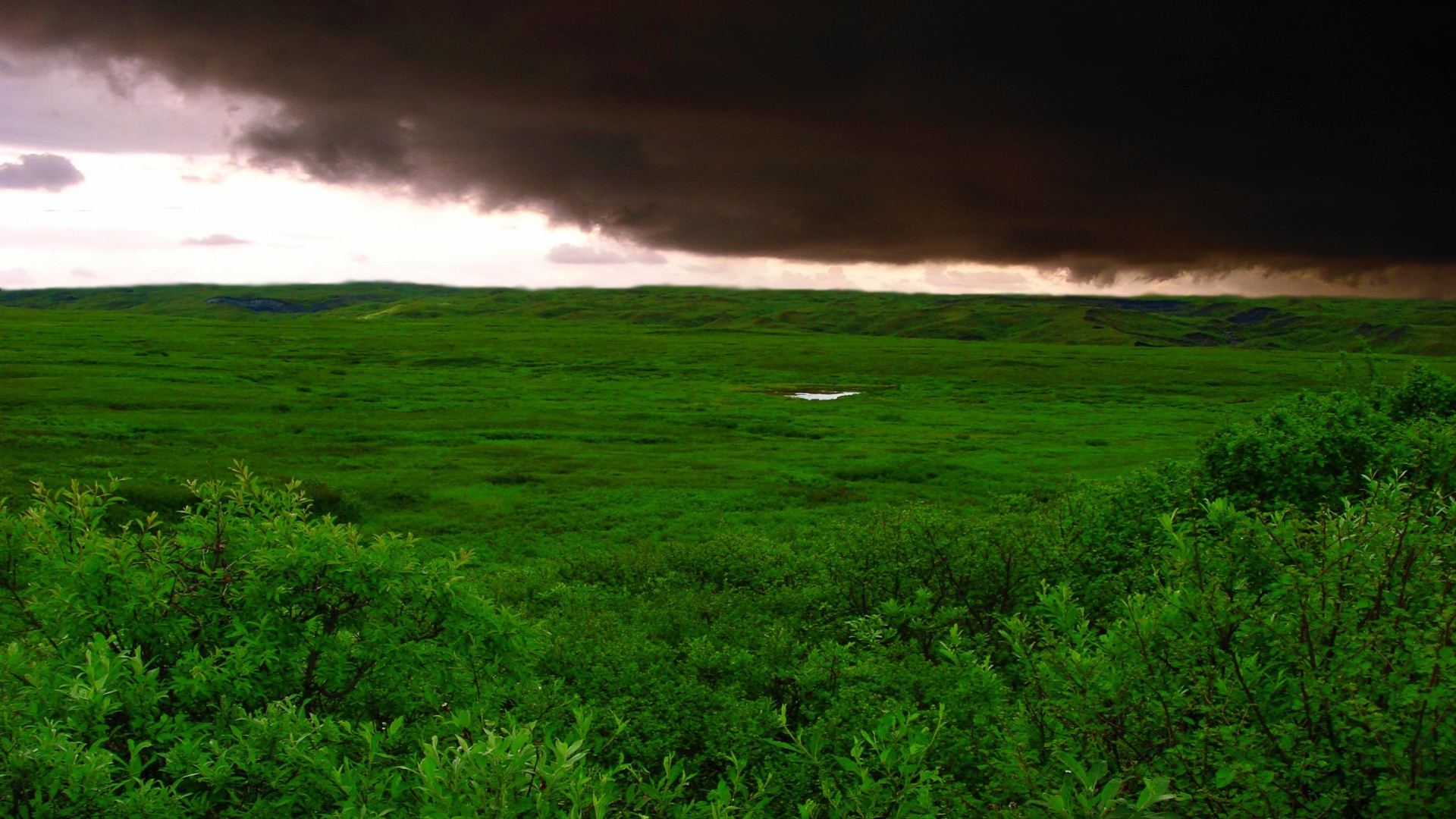 20000 Best Weather Photos  100 Free Download  Pexels Stock Photos