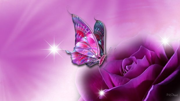 Download awesome butterfly for laptop backgrounds full hd.