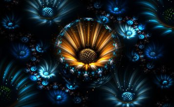Fractal Image.