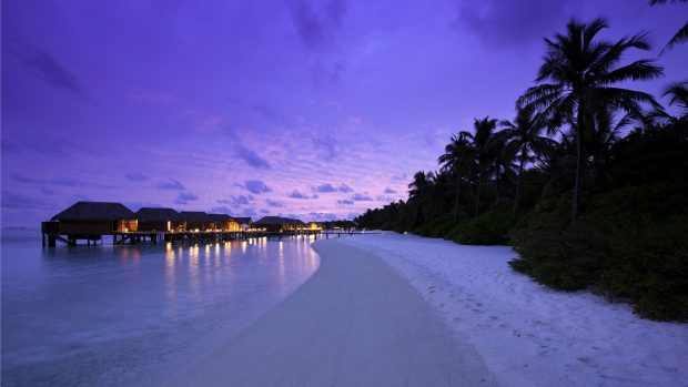 Free Beach At Night Picture Download.