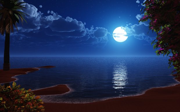 Free Download Beach At Night Wallpaper.