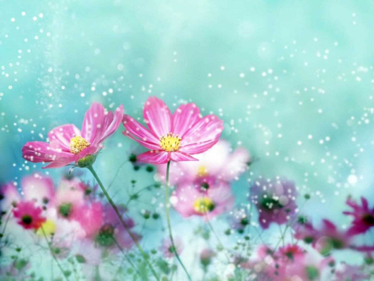 Pretty Colorful Desktop Backgrounds - PixelsTalk