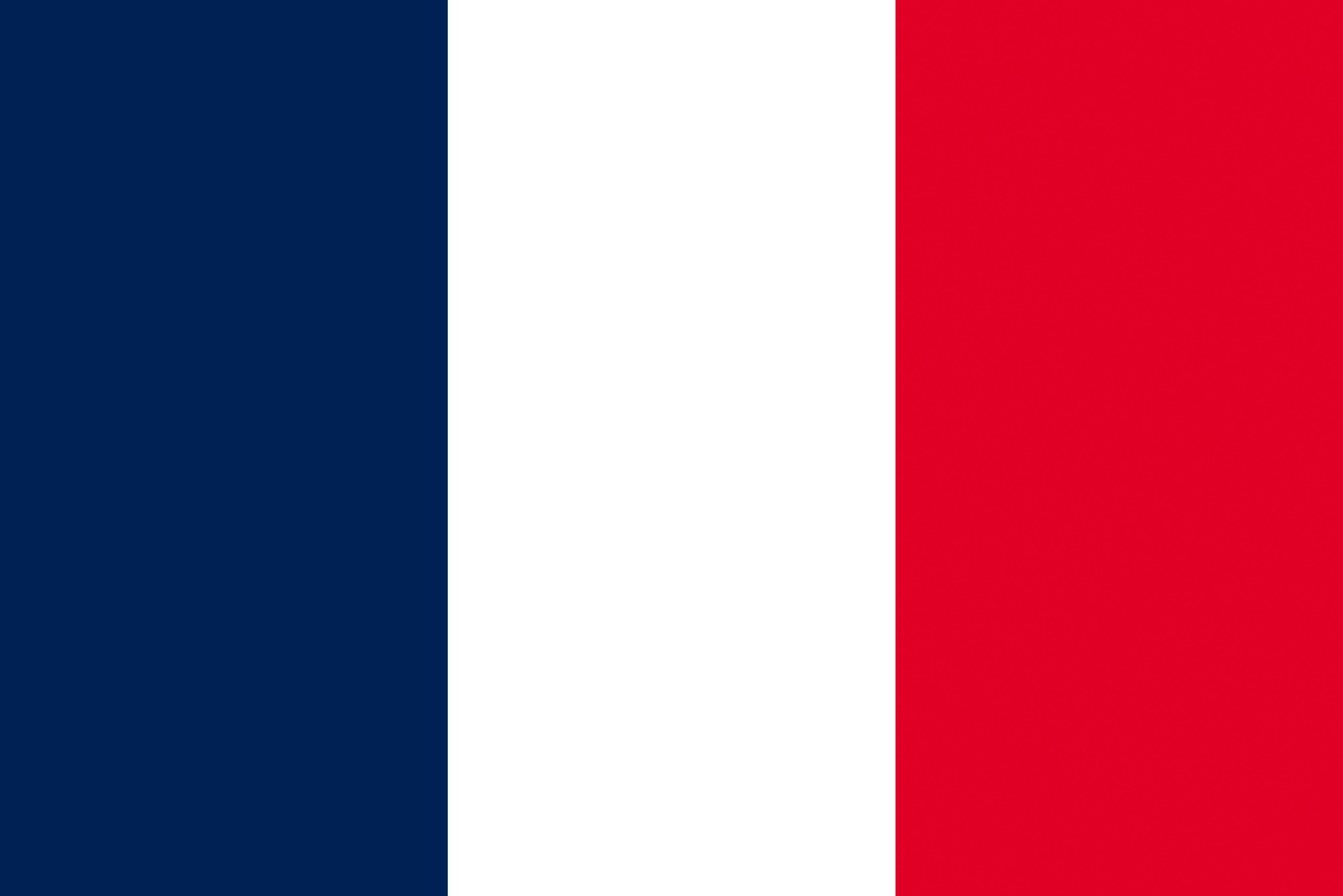 Medieval French Flag