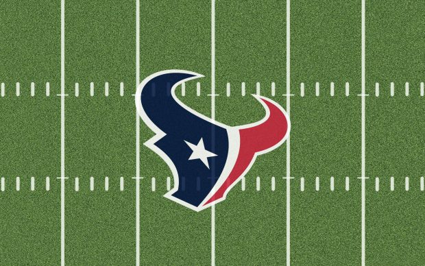 Gorgerous Houston Texans Wallpaper.